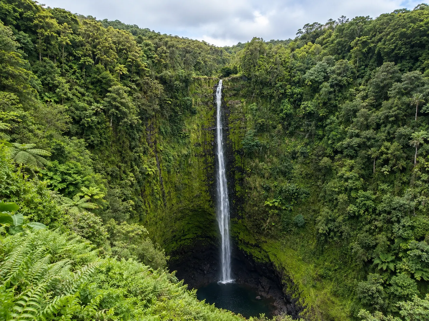 ʻAkaka Falls rainforest